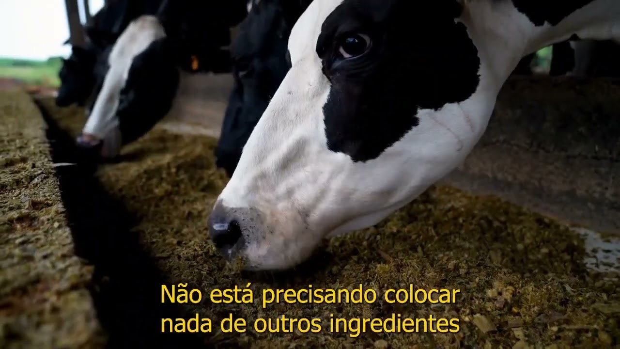Depoimento Glauciomar Godinho