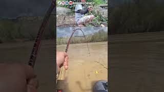 Download lagu gais tolong #mancing #spotrawarawa #mancing #fishing mp3