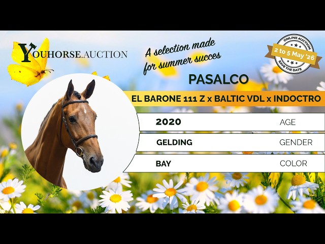 Pasalco