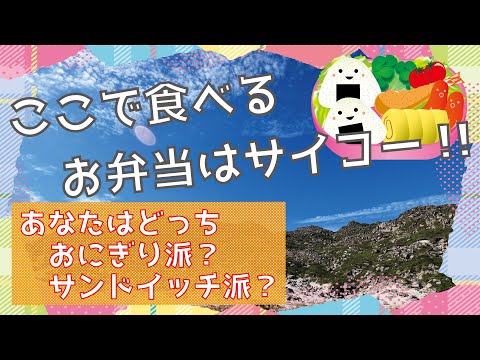 #31　神津島　天上山表砂漠