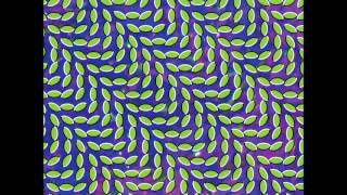 Animal Collective - Also Frightened