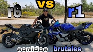 R6 vs r1 (comparacion de sonidos BRUTALES) | beto vlogs