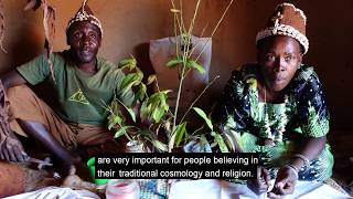 Sacrifice to the Nile River