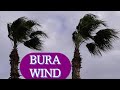 Zvuk Vjetra 8 Sati Bura Bora Wind Strong Howling Wind Sound 8 Hours Windgeräusche