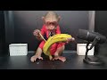 ASMR Mukbang Baby Monkey Peeling Banana Eats Deliciously
