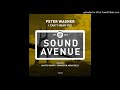 Peter Wagner I Can T Hear You Dimitri Nakov Remix
