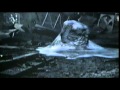 Universal Studios Florida Adventure Theme Park TV Commercial