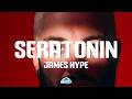 James Hype Seratonin Lyrics