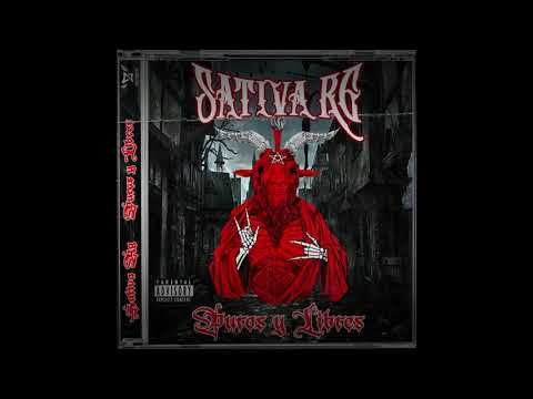 Sátiva x VIDA INSANA