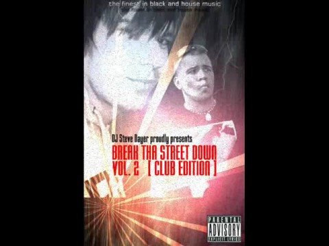 DJ Steve Dayer - New Mixtape Snippet (Pitbull - Krazy u.a.)