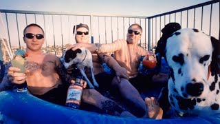 Beautiful acoustic version I Saw Red - Sublime