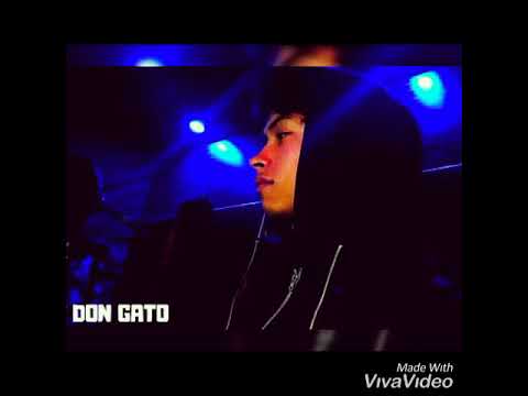 Primer tema de Ghinno  (Don Gato)