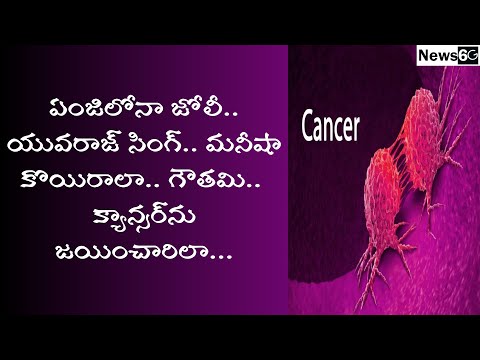indian celebrities fought with cancer