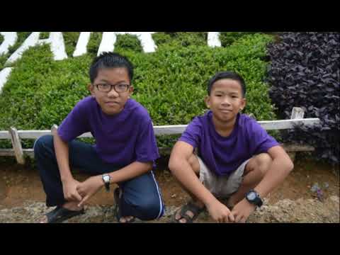 Pointopot oku langadon dika Larry ben masawat