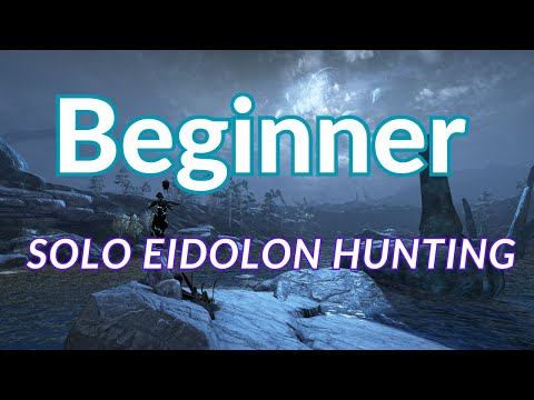 Beginner Level Solo Eidolon Hunting - Low Investment 5x3 Setup | Warframe