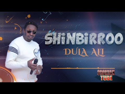 Dula Ali - Shinbirroo - New Oromo Music 2020 (Official Audio)