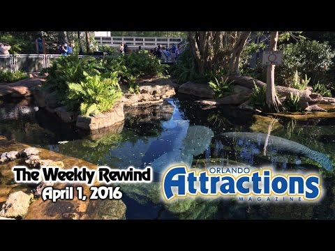 The Weekly Rewind @Attractions - April 1, 2016
