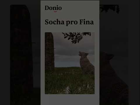 Socha pro Fina