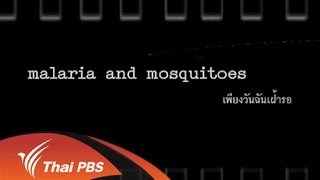 malaria and mosquitoes เพียงวันฉันเฝ้ารอ