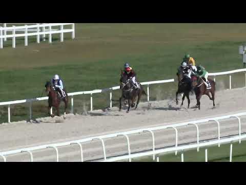 2022.10.16. 04. futam - TATA-REMETESÉGI HENDIKEP (V/b.) (szintetikus pálya)