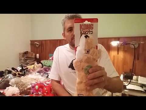 download lagu mp3 mp4 Kong Scrunch Knots Fox Dog Toy Medium Large, download lagu Kong Scrunch Knots Fox Dog Toy Medium Large gratis, unduh video klip Kong Scrunch Knots Fox Dog Toy Medium Large