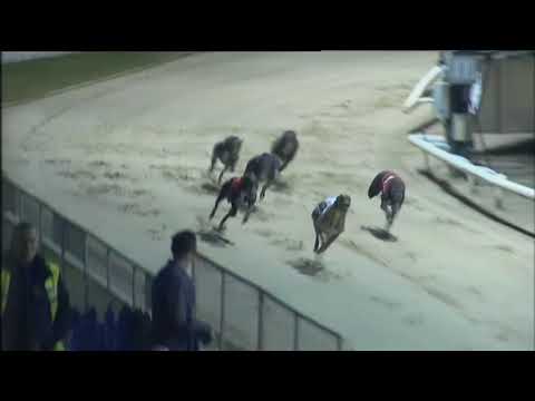 2016 GOLDEN SPRINT FINAL - T3 DROOPYS STORY