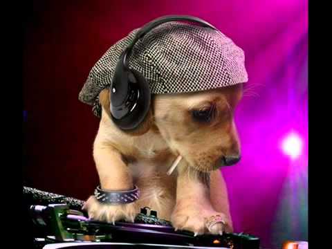 Dj KaNTiK Club Love Bubbling - izmir tiktak remix download