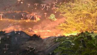 Western North Carolina pics and John Saw that Number.