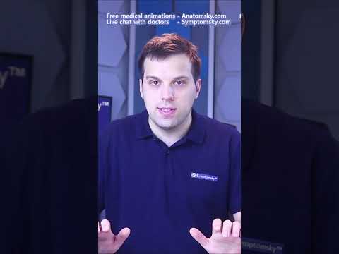 Falling On Your Wrists Flexed - Smith's Fracture