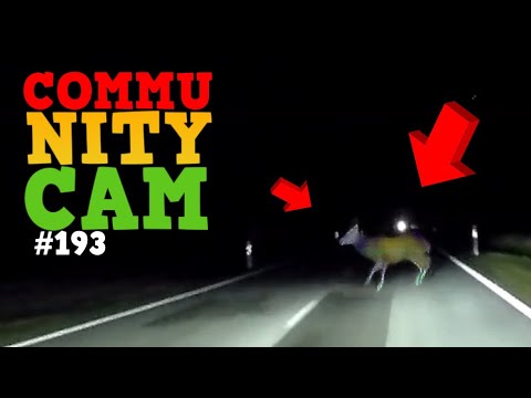 REH übersehen & Junge RENNT vor Auto! | Community Cam Folge 193