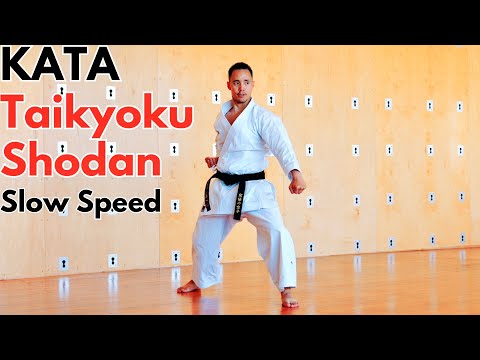 TAIKYOKU SHODAN (front, back, side)🥋🔥