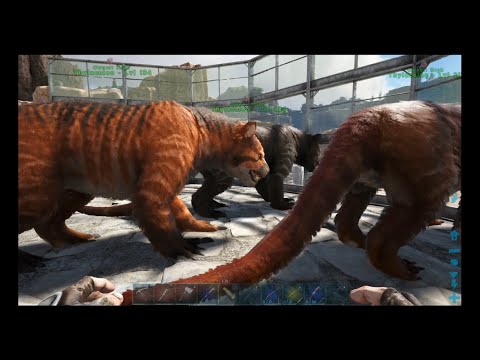 Taming High Level Thylacoleo - Ark Survival Evolved, Xbox One [E25]