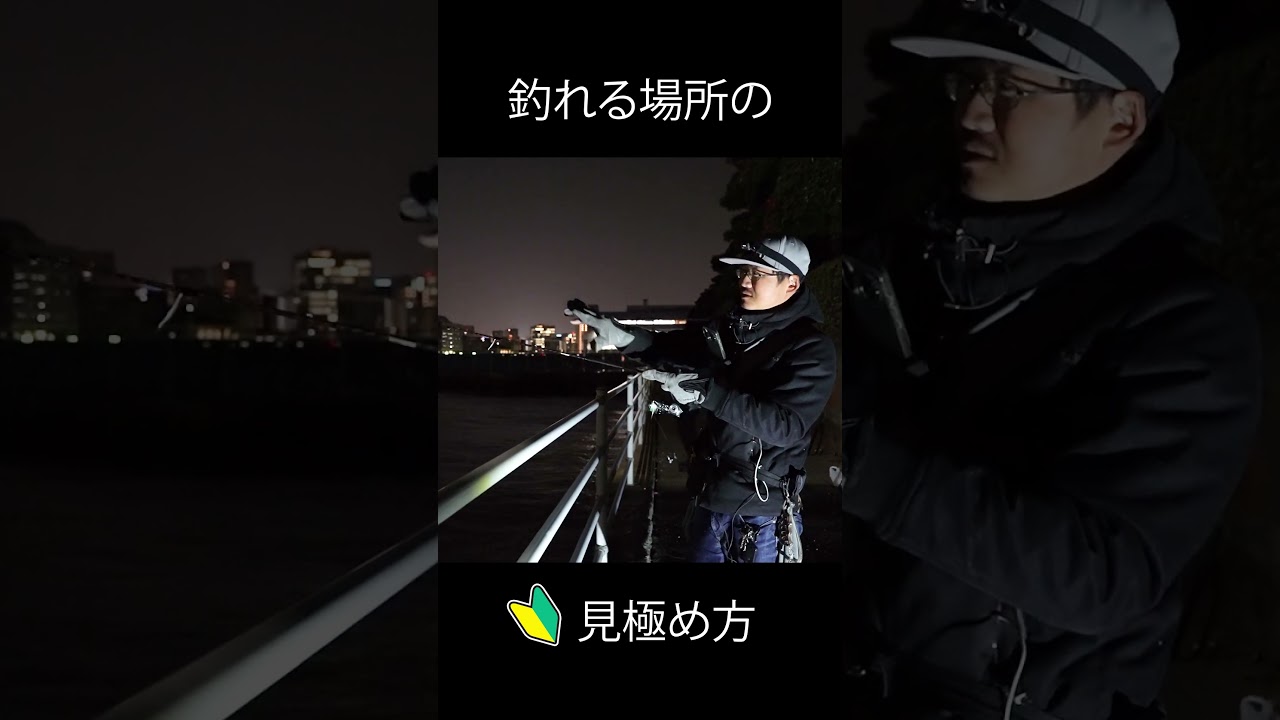 ナイトゲームならここを狙え #ルーディーズ #海釣り #初心者