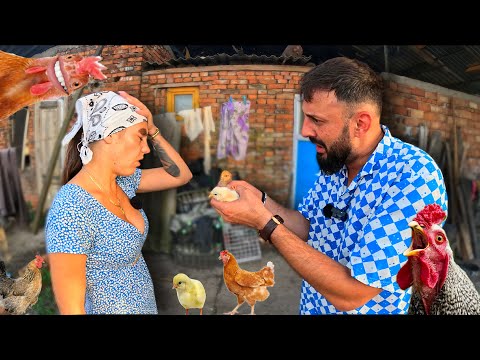 PETRE'S DREAM - MARIOARA back to Tara