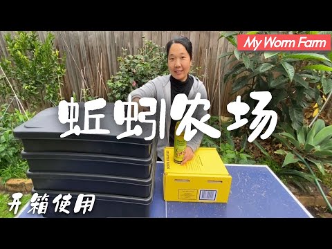 蚯蚓圖