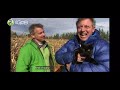 Wild Kratts Intro And Theme Song From Wild Kratts Halloween Creepy Creatures