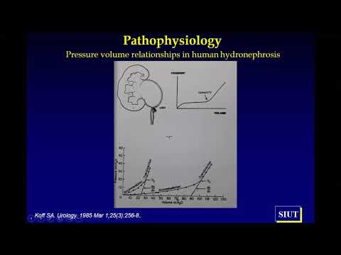 Dr Sajid Sultan - Online Course - Pediatric Urology Update for FCPS II Trainees