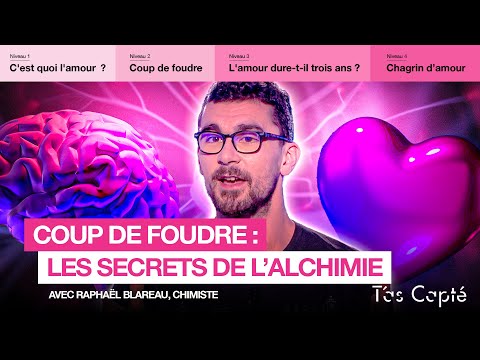 Les secrets du coup de foudre expliqués par un chimiste - T'as Capté - CANAL+