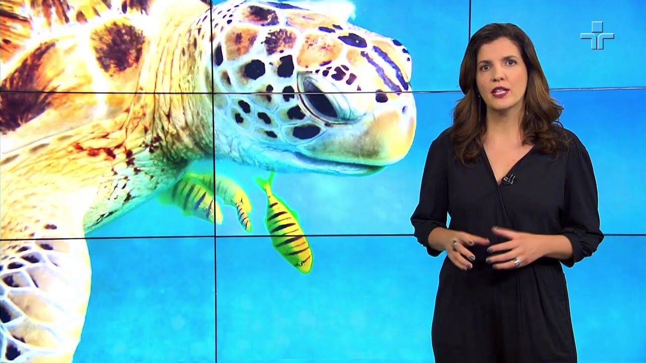 Matéria de Capa | Oceanos, Um Tesouro em Perigo | 14/03/2021