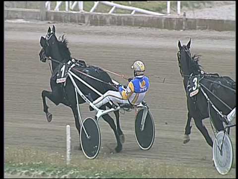 Trotto 19/03/2017 - 2ª corsa