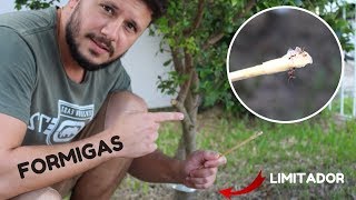 Miniatura do vídeo