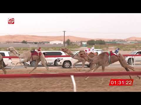  ش 5 (سلهوده) لـ سعيد محمد بن قعرور 2:14 , شارة الصندوق 2026/04/11 فطامين الساد