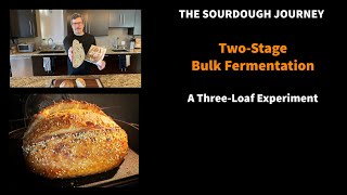 NEW!: Sourdough BREAKTHROUGH: Two-Stage Bulk Fermentation - For Busy People