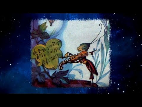Cvrček houslista - Andrej Žukov