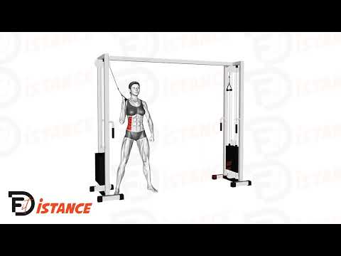 Exercice Obliques à la poulie haute