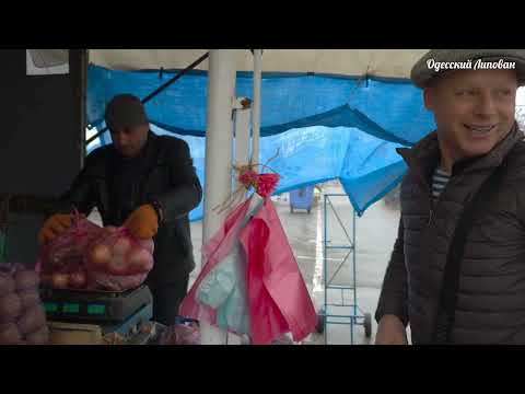 Einmal in Odessa auf dem Basar. Lipovan, Odessa heute, Produktpreise Februar 2026