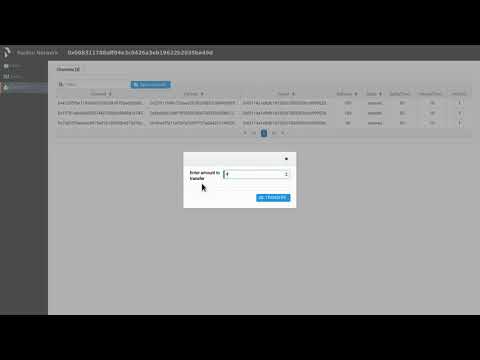Raiden Network - Developer Preview Demo