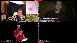 Type 5 Cannabis Plants