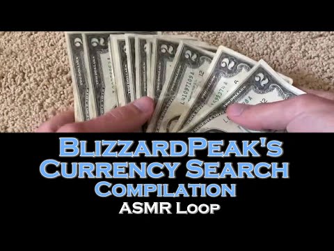 ASMR Loop: BlizzardPeak's Currency Search Compilation - Unintentional ASMR - 1 Hour