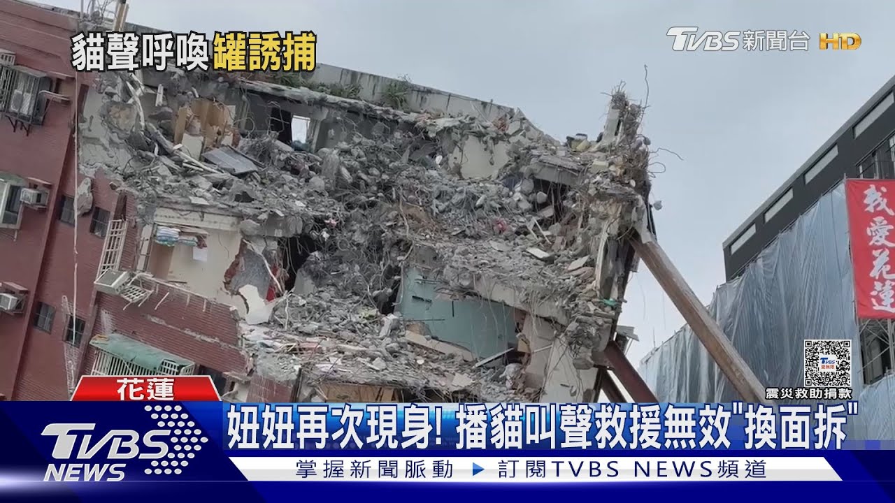 妞妞再現身! 播貓叫聲救援無效 天王星「換邊拆」進度恐延宕